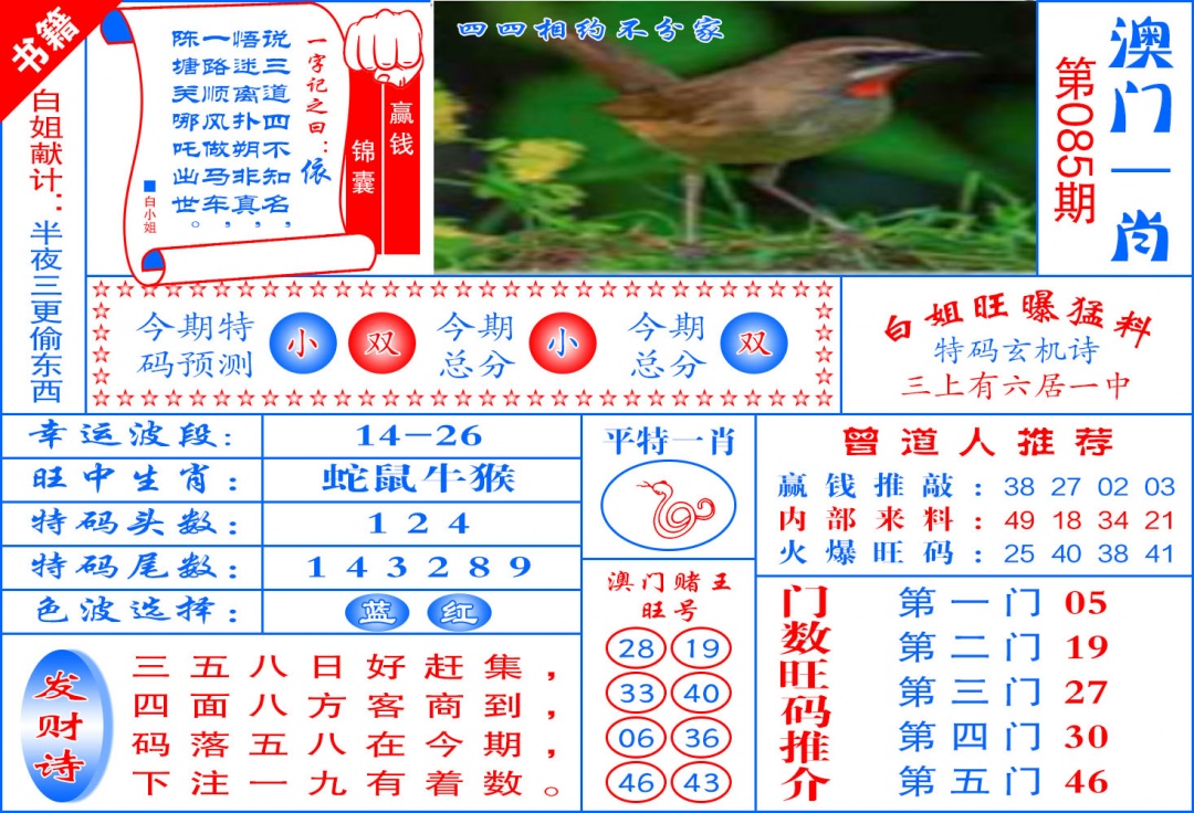 085期澳门东北虎[图]